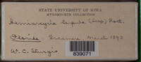 Image Associated With the Occurence